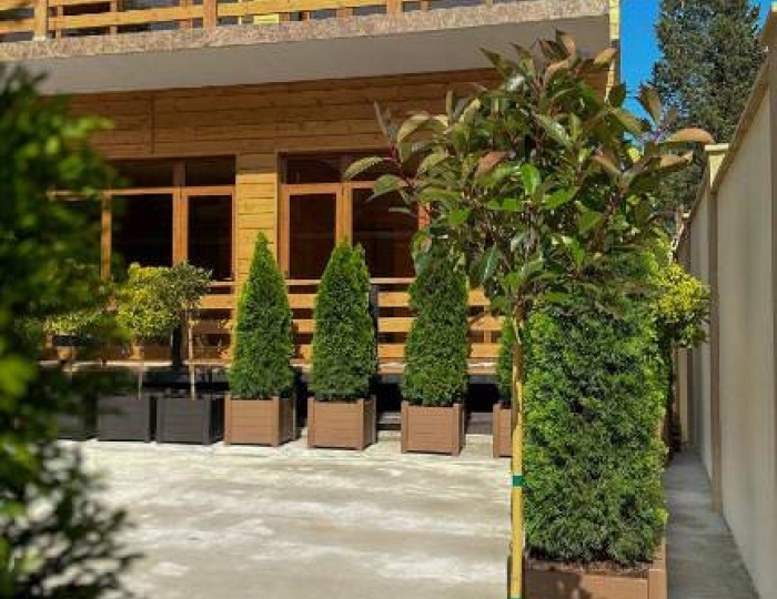 Гостиница «Лилия» Гудаута