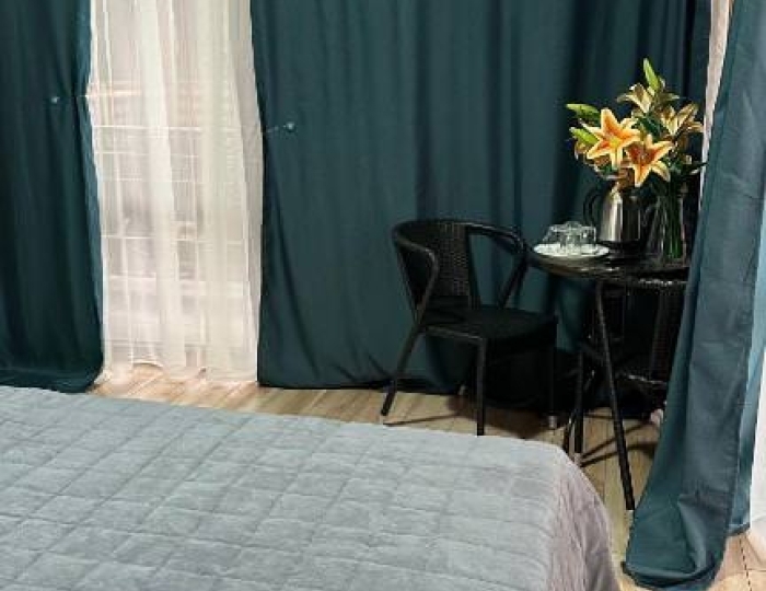 Стандарт Стандарт 2-местный - Гостиница «Лилия» Гудаута